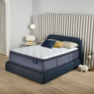 Charlotte plush euro on sale top mattress